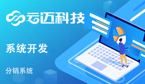 企業(yè)開發(fā)分銷系統(tǒng)有哪些運營優(yōu)勢？